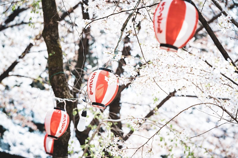 Japan -14